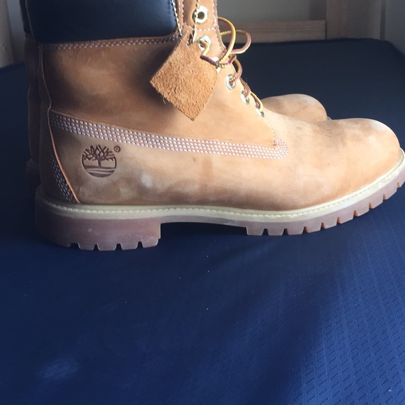 Timbs - Picture 2 of 2